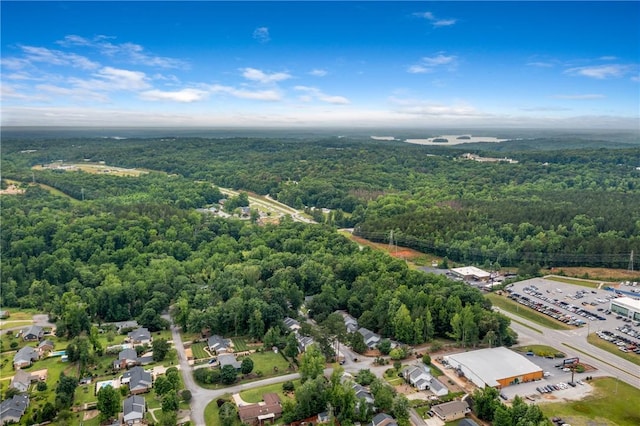 13036 W Camelia Ln, Seneca, SC 29678 - drone / aerial view of a forest