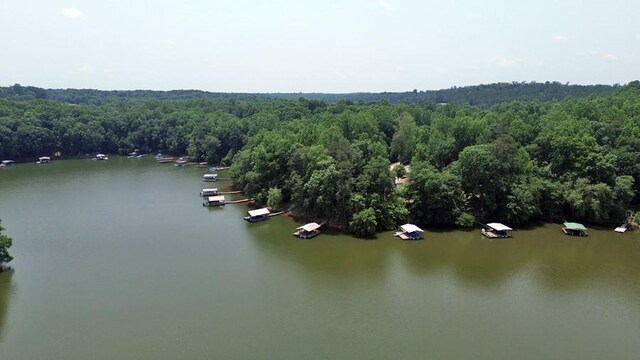 85 Stillwater Rd, Lavonia, GA 30553 - photo 32