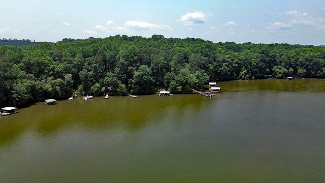 85 Stillwater Rd, Lavonia, GA 30553 - photo 10