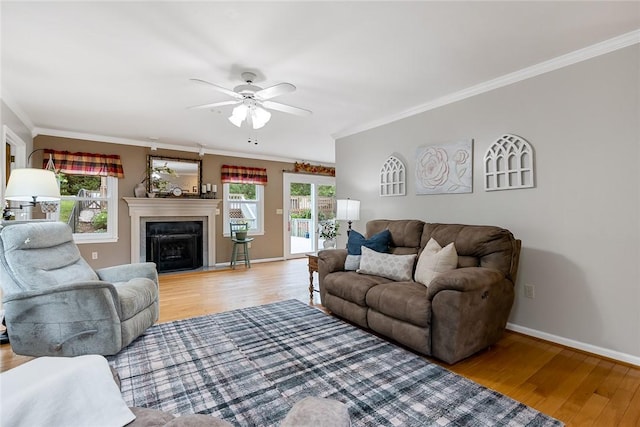 101 Long View Ln, Pickens, SC 29671 - living room featuring wood finished floors, a ceiling fan, baseboards, ornamental molding, and a fireplace with flush hearth
