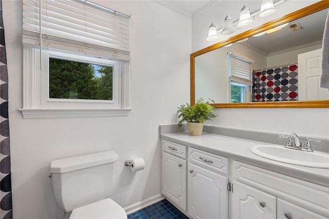 101 Long View Ln, Pickens, SC 29671 - bathroom featuring vanity, plenty of natural light, toilet, baseboards, and crown molding