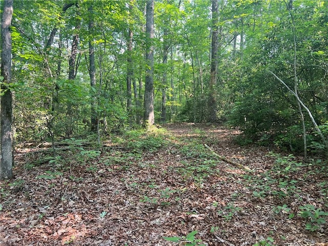 00 Jess Crenshaw Dr, Salem, SC 29676