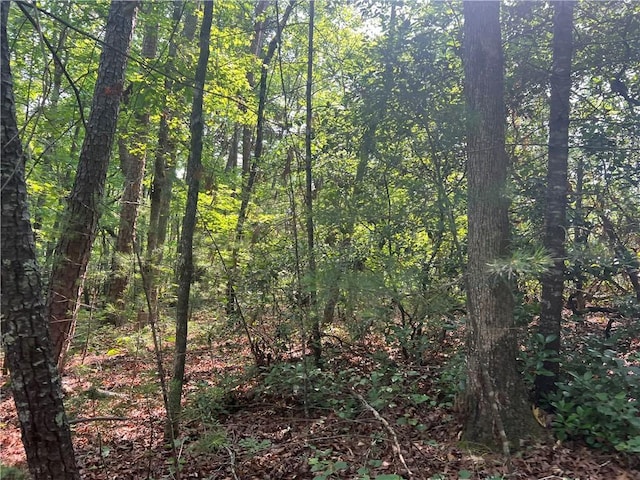 00 Jess Crenshaw Dr, Salem, SC 29676
