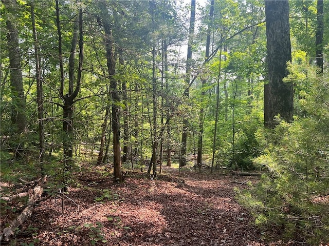 00 Jess Crenshaw Dr, Salem, SC 29676