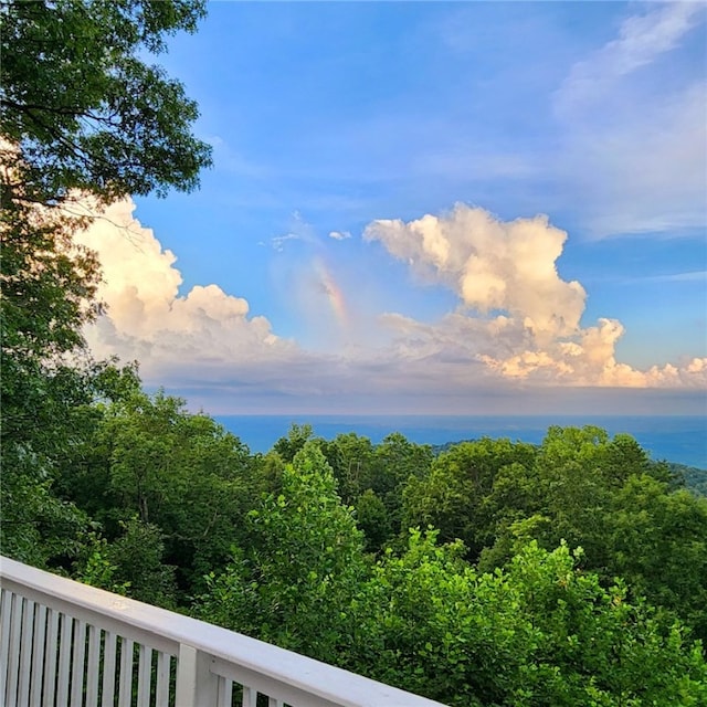 14 Woodbine Dr, Cleveland, SC 29635 - photo 46