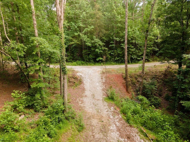 00 Pleasant View Rd, Tamassee, SC 29686 - view of road featuring a forest view