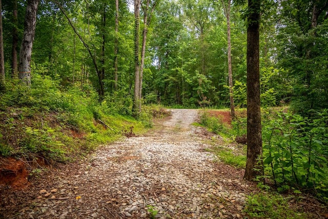 00 Pleasant View Rd, Tamassee, SC 29686 - view of road featuring a wooded view
