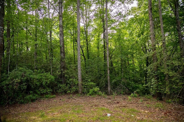 00 Pleasant View Rd, Tamassee, SC 29686 - view of wooded area