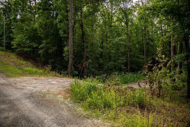 00 Pleasant View Rd, Tamassee, SC 29686 - view of woods