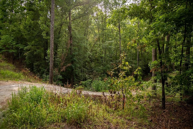 00 Pleasant View Rd, Tamassee, SC 29686 - view of tree filled area