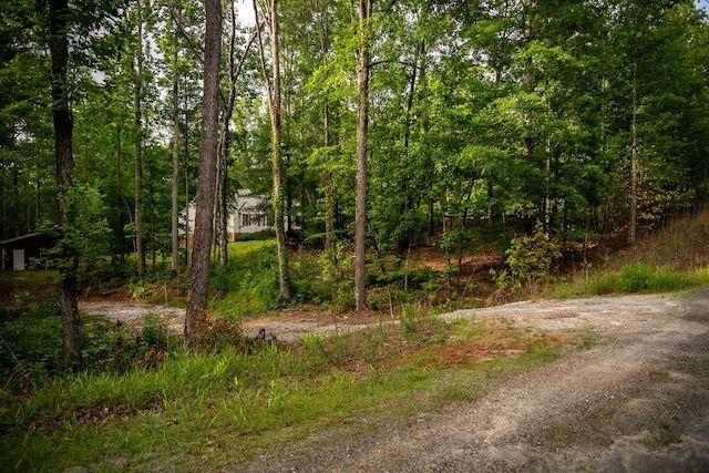 00 Pleasant View Rd, Tamassee, SC 29686 - view of dirt / gravel driveway featuring a wooded view