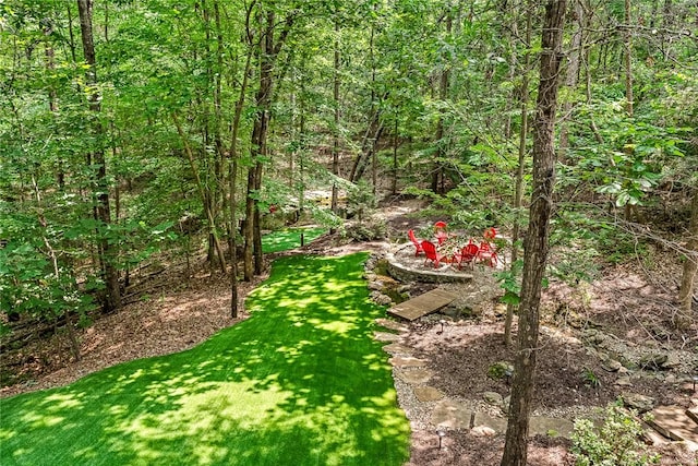 307 Warbranch Rd, Central, SC 29630 - view of grassy yard