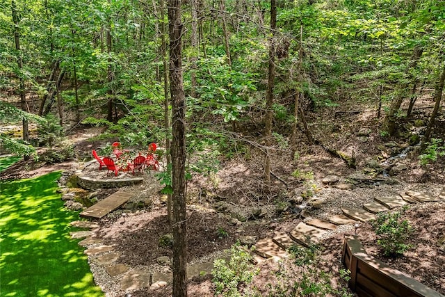 307 Warbranch Rd, Central, SC 29630 - view of yard