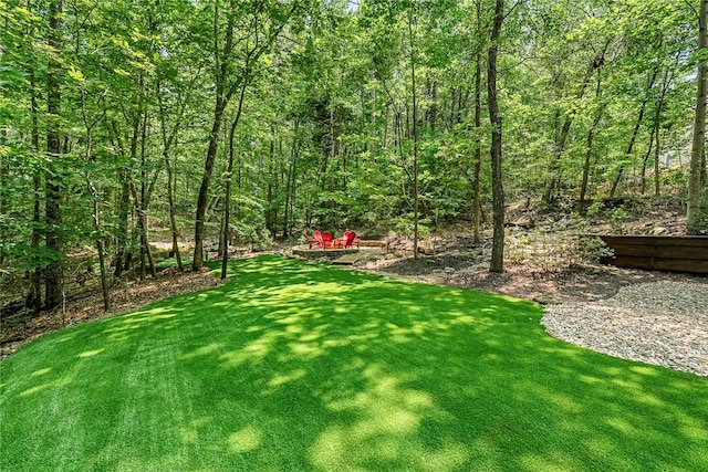 307 Warbranch Rd, Central, SC 29630 - view of grassy yard