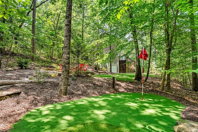 307 Warbranch Rd, Central, SC 29630 - view of yard featuring a putting green
