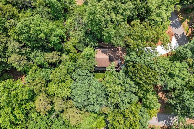 307 Warbranch Rd, Central, SC 29630 - drone / aerial view