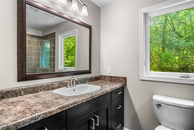 307 Warbranch Rd, Central, SC 29630 - bathroom featuring plenty of natural light, vanity, and toilet