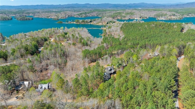 127 Button Bush Trl, Six Mile, SC 29682 - aerial view of property and surrounding area featuring a water and mountain view and a forest