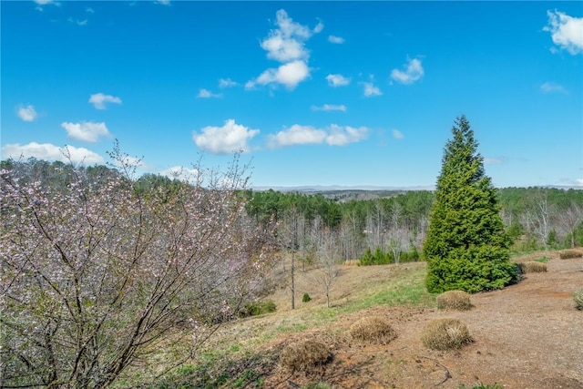 127 Button Bush Trl, Six Mile, SC 29682 - view of woods