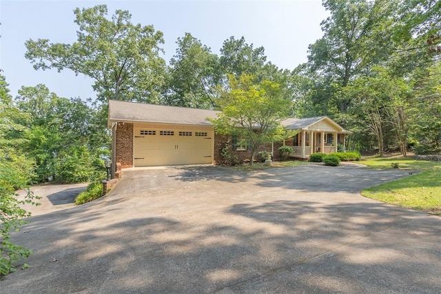 221 Stelling Dr, Townville, SC 29689 - photo 7