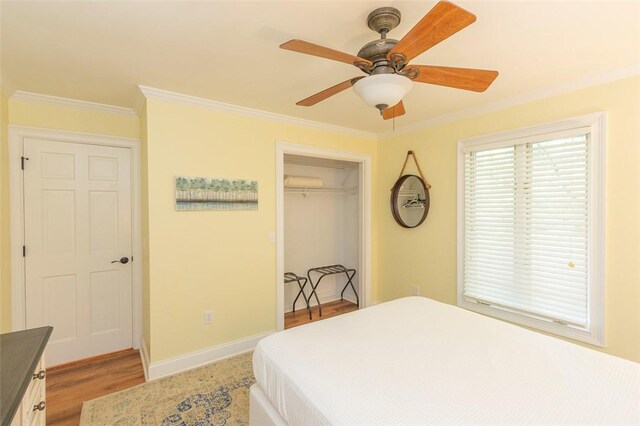 221 Stelling Dr, Townville, SC 29689 - photo 26