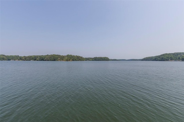 221 Stelling Dr, Townville, SC 29689 - photo 4