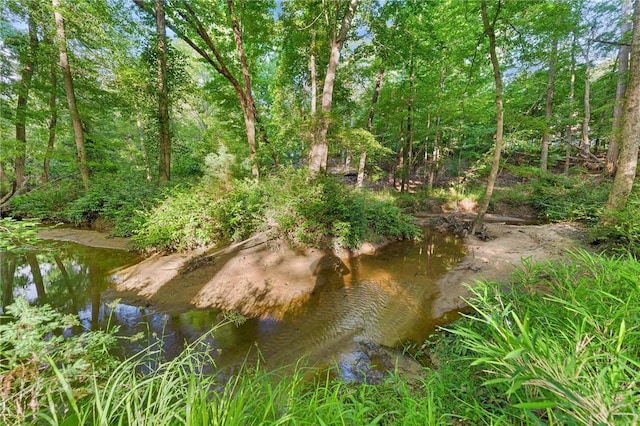 2000 Ridge Rd, Hartwell, GA 30643 - view of undeveloped land