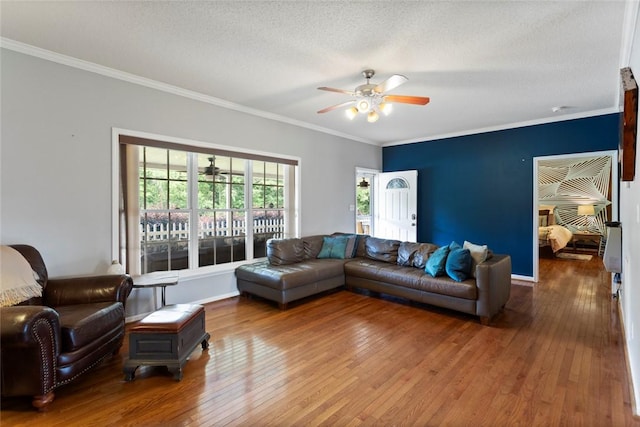 661 Playground Rd, Walhalla, SC 29691 - living room with ceiling fan, hardwood / wood-style floors, ornamental molding, and a textured ceiling