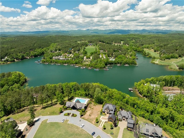 178 Settlement Village Dr, Sunset, SC 29685