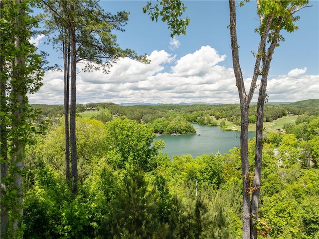 178 Settlement Village Dr, Sunset, SC 29685