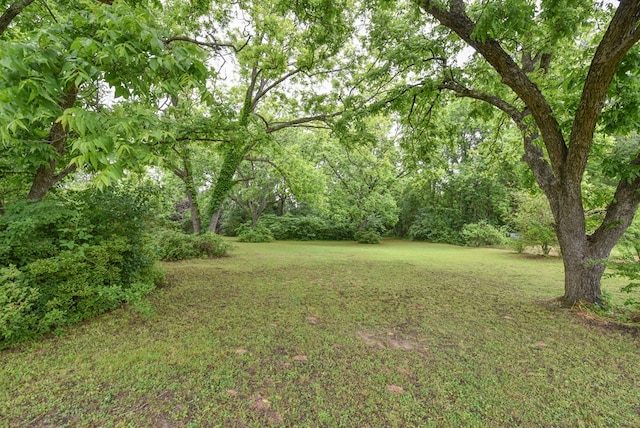 350 Fairfield St, Calhoun Falls, SC 29628 - photo 3