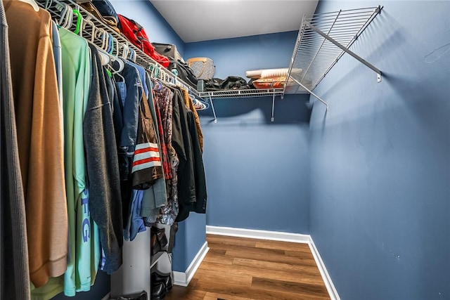 169 Campbell Bridge Rd, Seneca, SC 29678 - walk in closet with wood finished floors