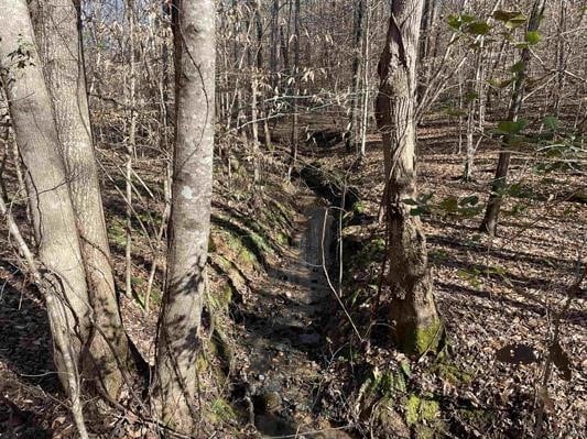 00 Beardon Hollow Rd, Westminster, SC 29693