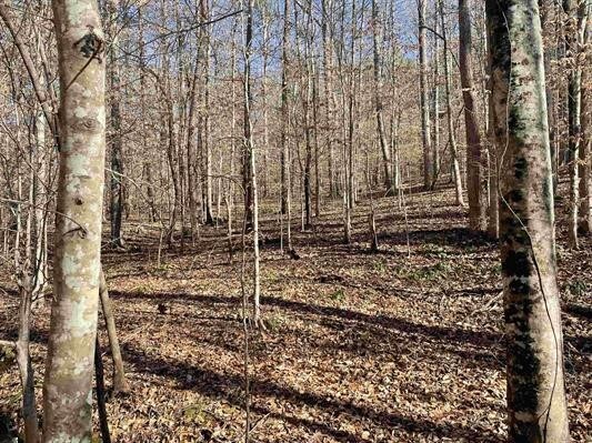 00 Beardon Hollow Rd, Westminster, SC 29693