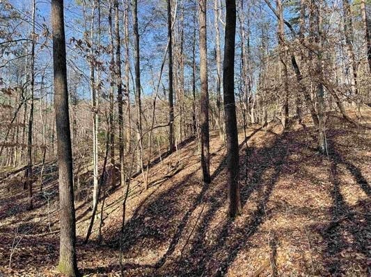 00 Beardon Hollow Rd, Westminster, SC 29693