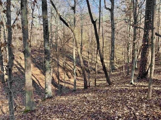 00 Beardon Hollow Rd, Westminster, SC 29693