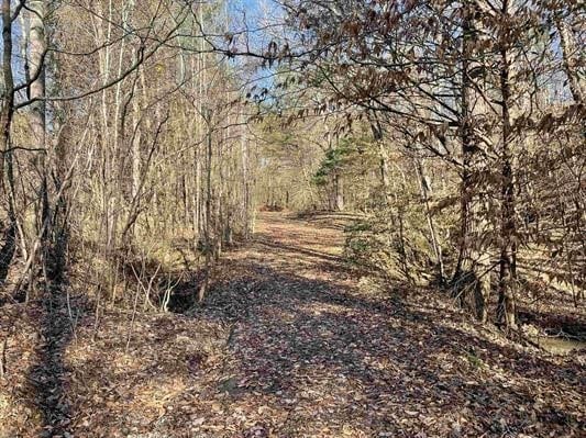 00 Beardon Hollow Rd, Westminster, SC 29693