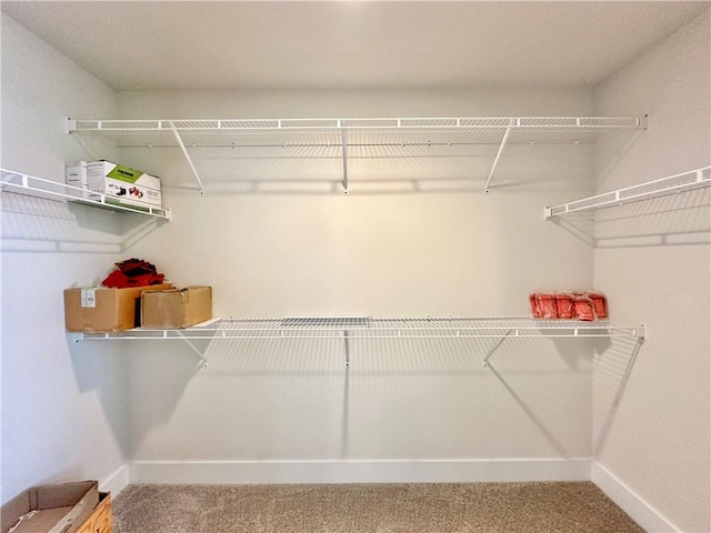 448 Seaborn Cir, Pendleton, SC 29670 - spacious closet with carpet