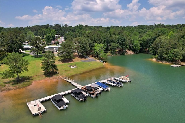 669 N Fleetwood Ln, Fair Play, SC 29643 - aerial view of a large body of water and a heavily wooded area