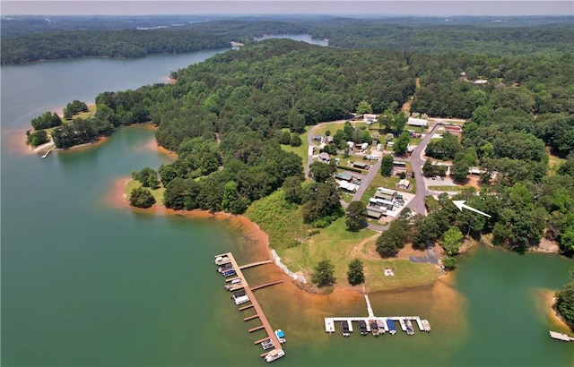 669 N Fleetwood Ln, Fair Play, SC 29643 - bird's eye view of a heavily wooded area and a large body of water