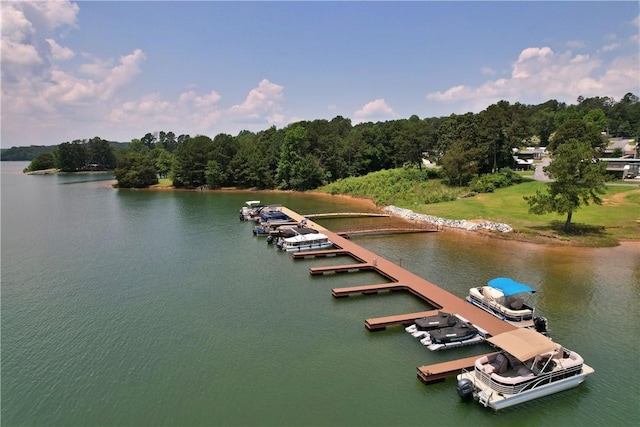 669 N Fleetwood Ln, Fair Play, SC 29643 - water view featuring a floating dock and a forest