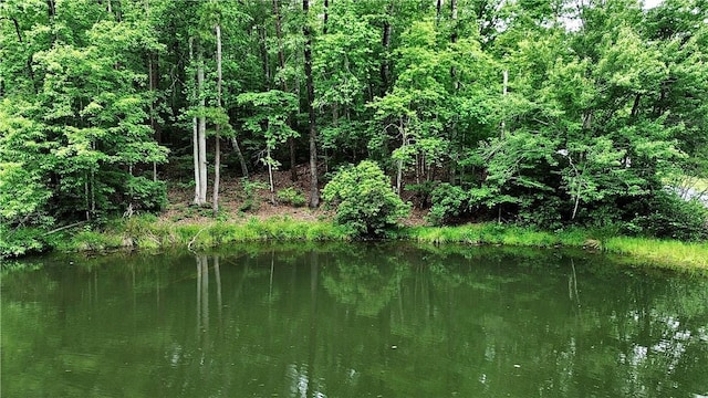 LOT78 Inland Trl, Salem, SC 29676 - photo 1