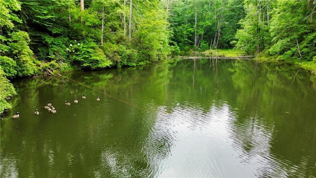 LOT78 Inland Trl, Salem, SC 29676 - photo 2