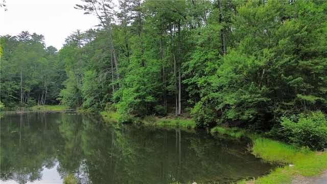 LOT78 Inland Trl, Salem, SC 29676 - photo 5
