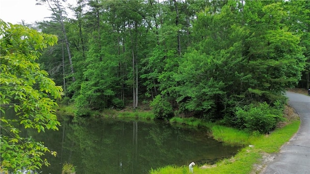 LOT78 Inland Trl, Salem, SC 29676 - photo 6