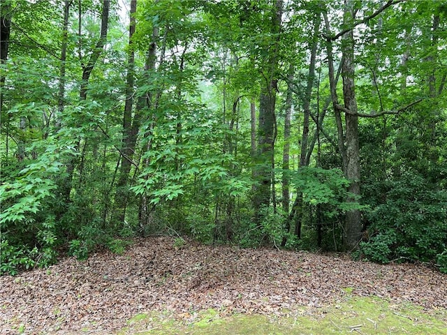 LOT78 Inland Trl, Salem, SC 29676 - photo 8