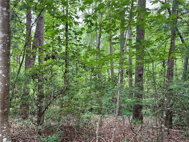 LOT78 Inland Trl, Salem, SC 29676 - photo 9