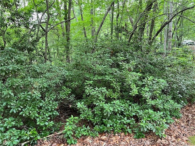 LOT78 Inland Trl, Salem, SC 29676 - photo 10