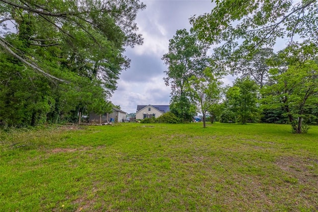 6913 White Horse Rd, Greenville, SC 29611 - view of green lawn
