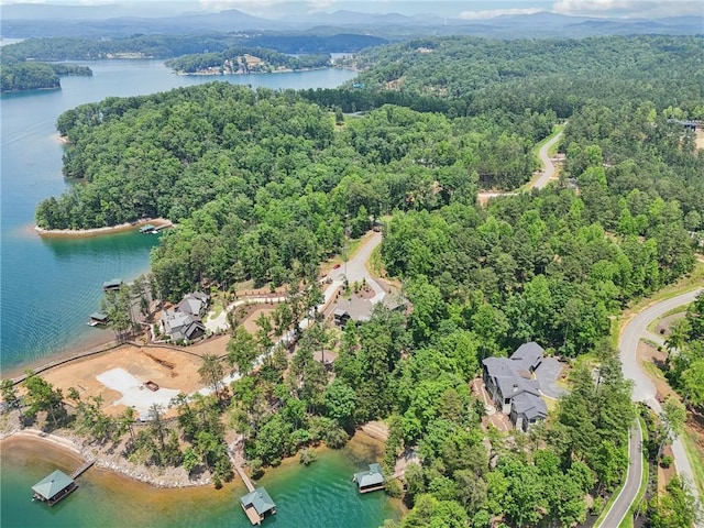 221 Hermitage Dr, Six Mile, SC 29682 - aerial view of property's location with a heavily wooded area and a large body of water